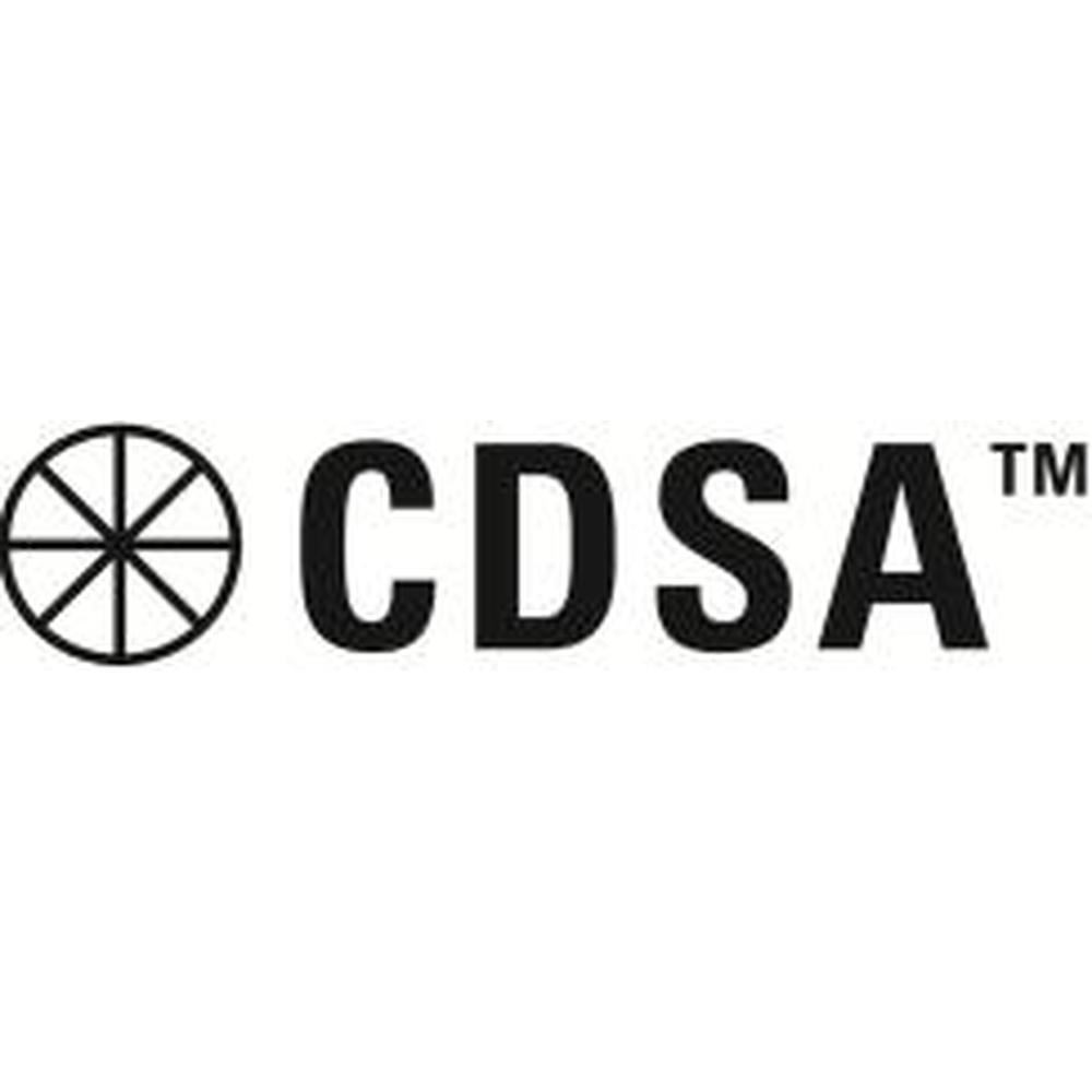 CDSA Pune (CDSA PUNE) - Logo