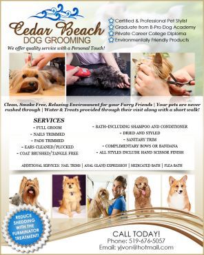 Cedar Beach Dog Grooming - Cover photo