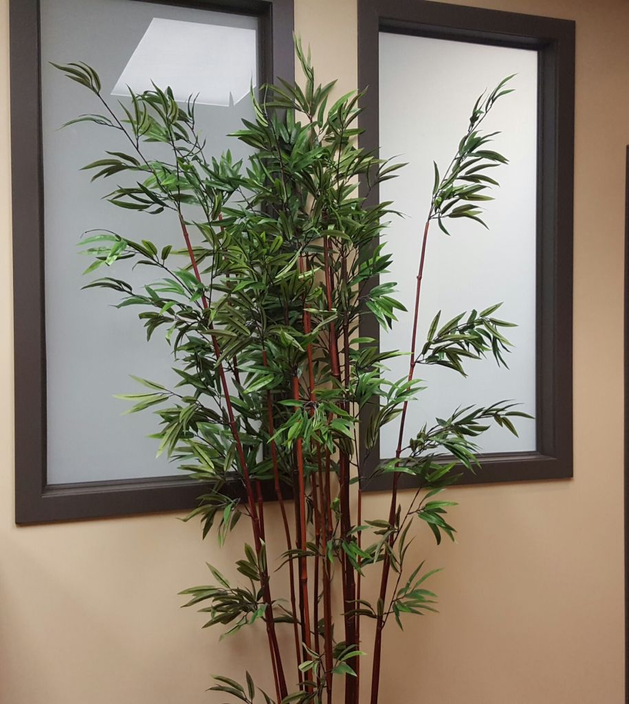 Cedar Counselling - Cover photo