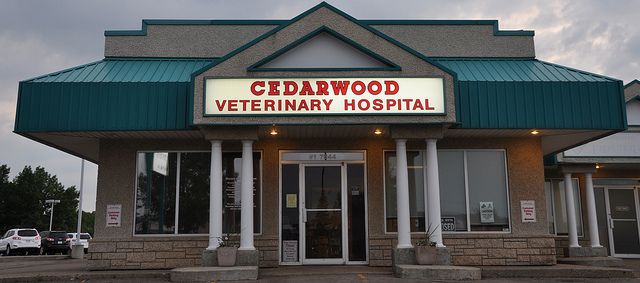 Cedarwood Veterinary Hospital - Logo