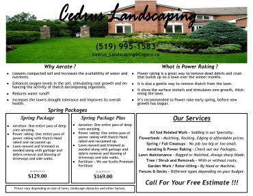 Cedrus Landscaping - Logo