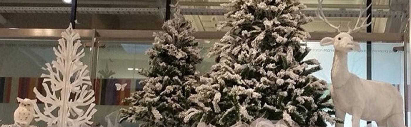 Celebrating Christmas.com.au - Cover photo
