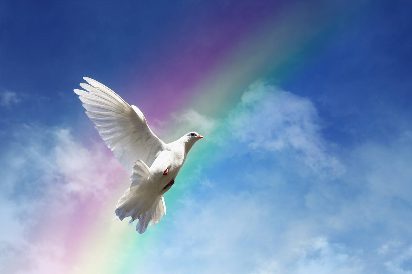 Celebrations of Life-Kerrie Hayes - Cover photo