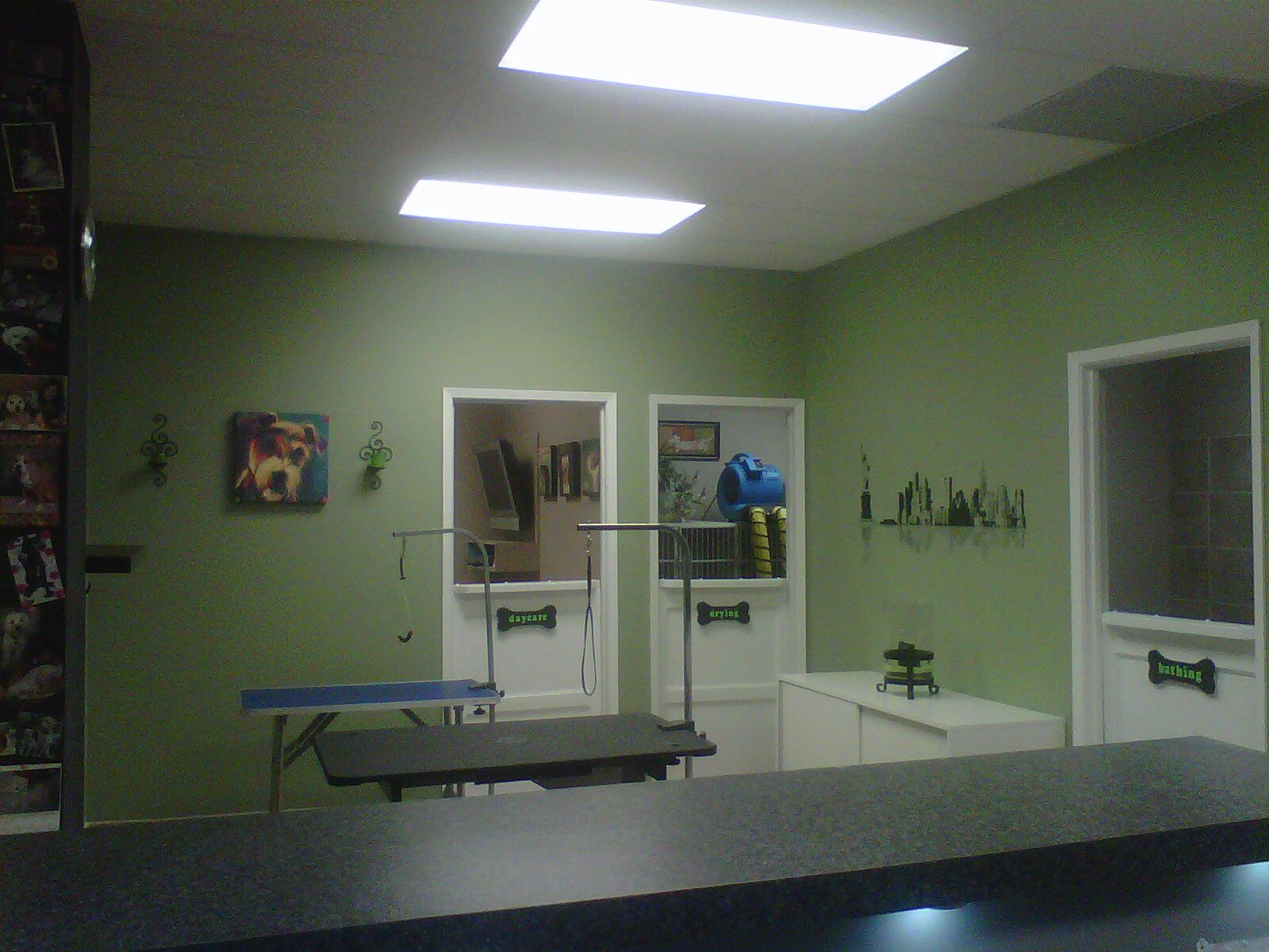 Central Bark Pet Grooming Salon - Logo