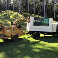 Central Coast Treeworx - Cover photo
