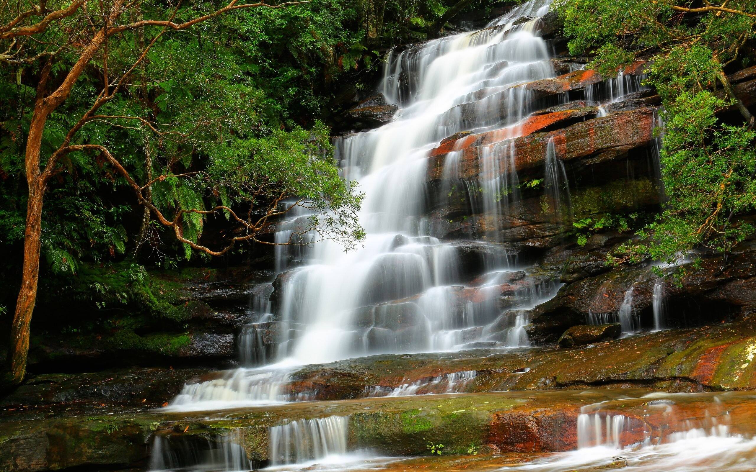 Central Coast Private Tours - Cover photo
