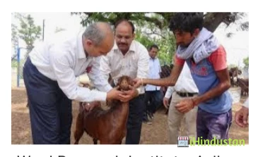 Central Institute for Research on Goats - CIRG - Logo