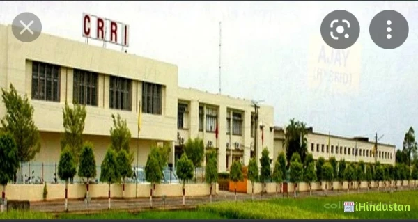 Central Rice Research Institute - Logo