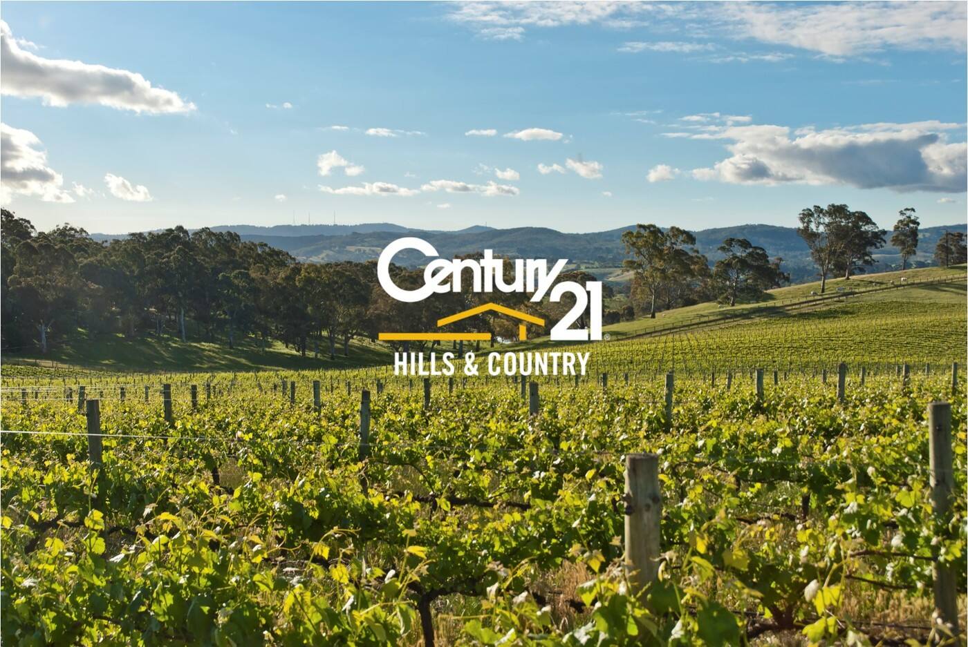 Century 21 Hills & Country - Cover photo