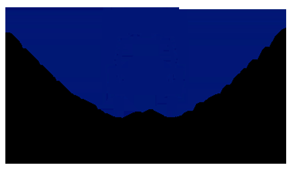 Certified Trucking &a; Transport Ltd - Logo