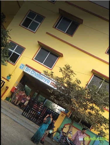 Chaitanya techno Schools - Logo