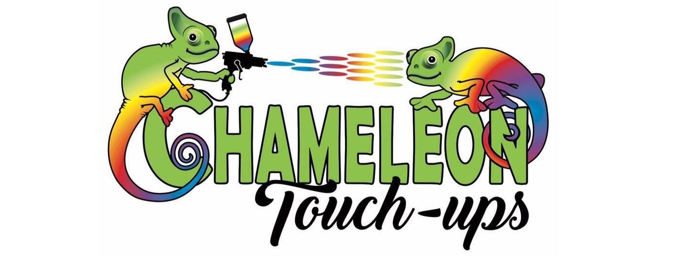Chameleon Touch Ups - Cover photo