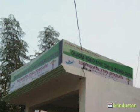 Chandra homeopathic clinic - Logo