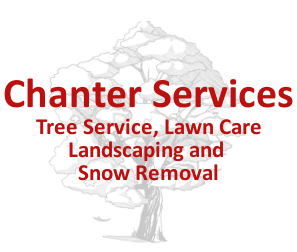 Chanter Services - Logo