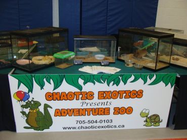 Chaotic Exotics - Cover photo