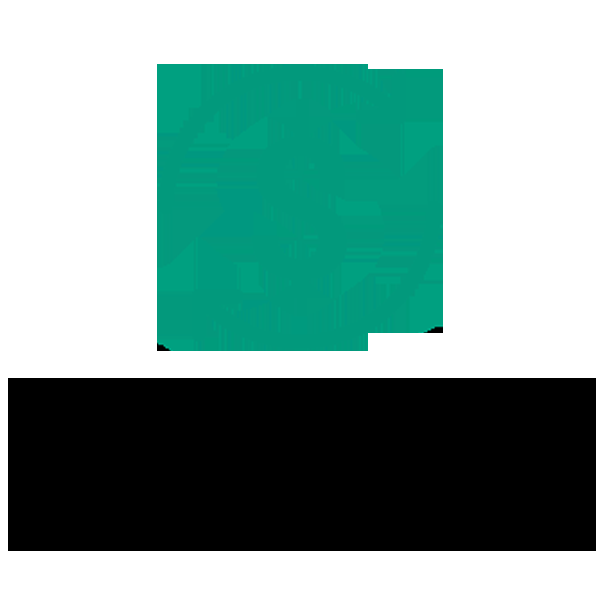 Charisma Finance Inc - Logo