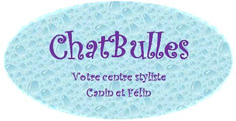 ChatBulles - Cover photo