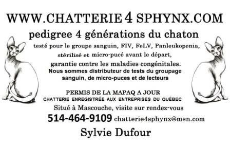 chatterie 4 sphynx inc - Logo