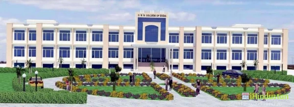 Chaudhary Beeri Singh College of Engineering and Manage - Logo