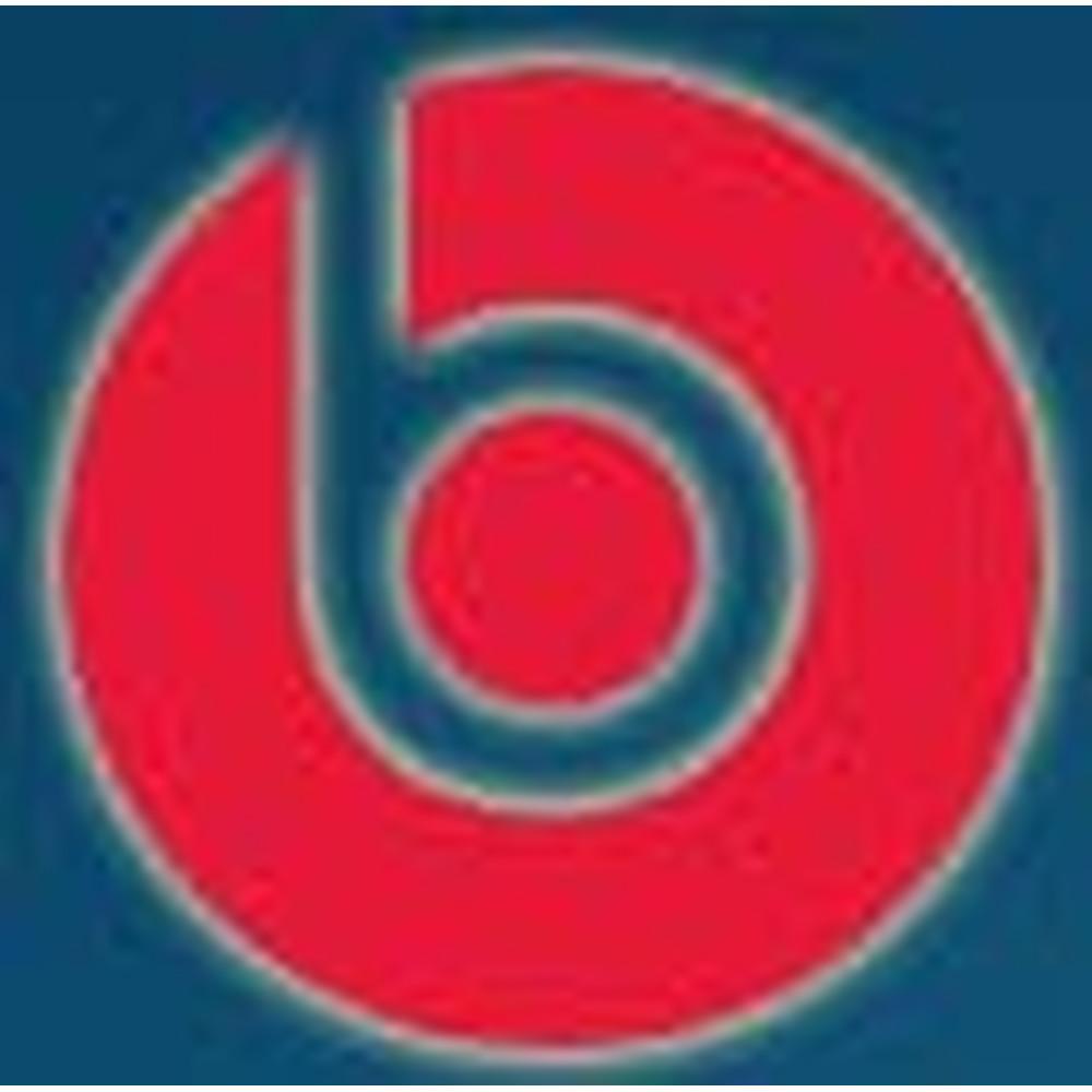Ch. Bhagmal College of Nursing (CBCN) - Logo
