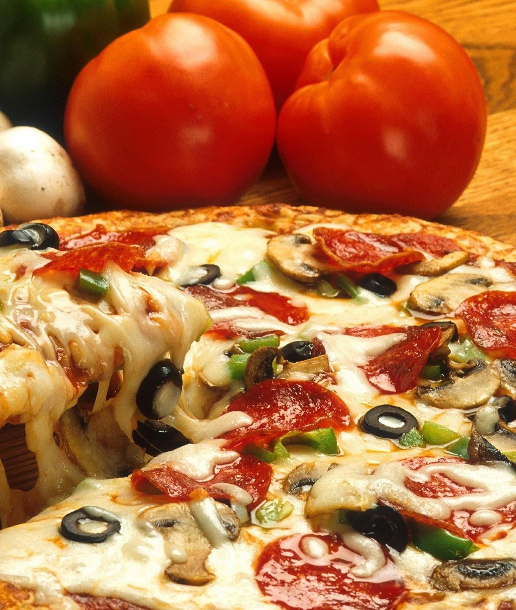 Cheese Pizza and Fries - Logo