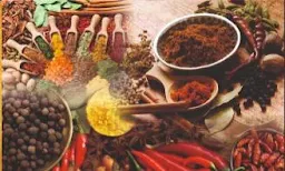 Chefs Kitchen - Logo