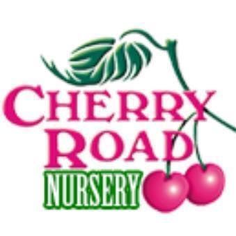 Cherry Road Nursery - Logo