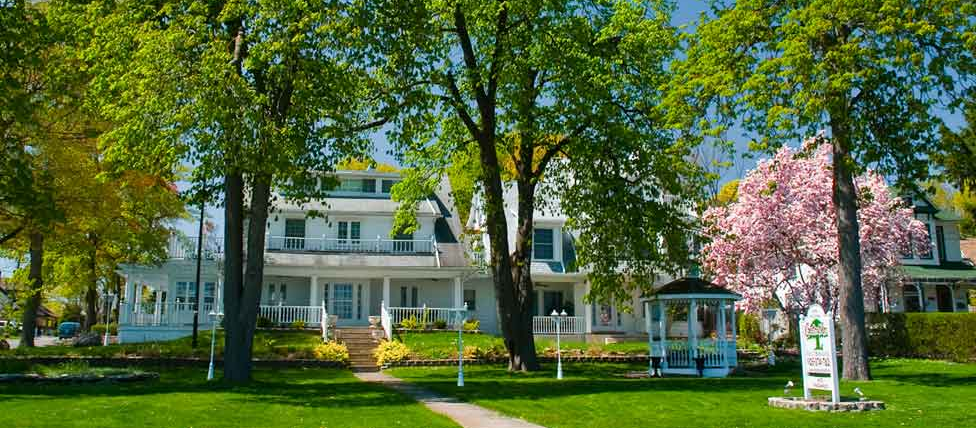 Chestnut Inn - Logo