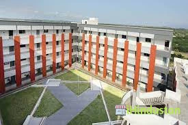 Chiranjeevi Reddy Institute of Engineering and Technolo - Logo