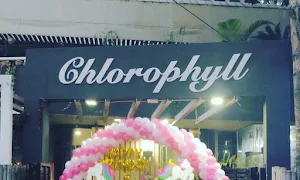 Chlorophyll - Logo