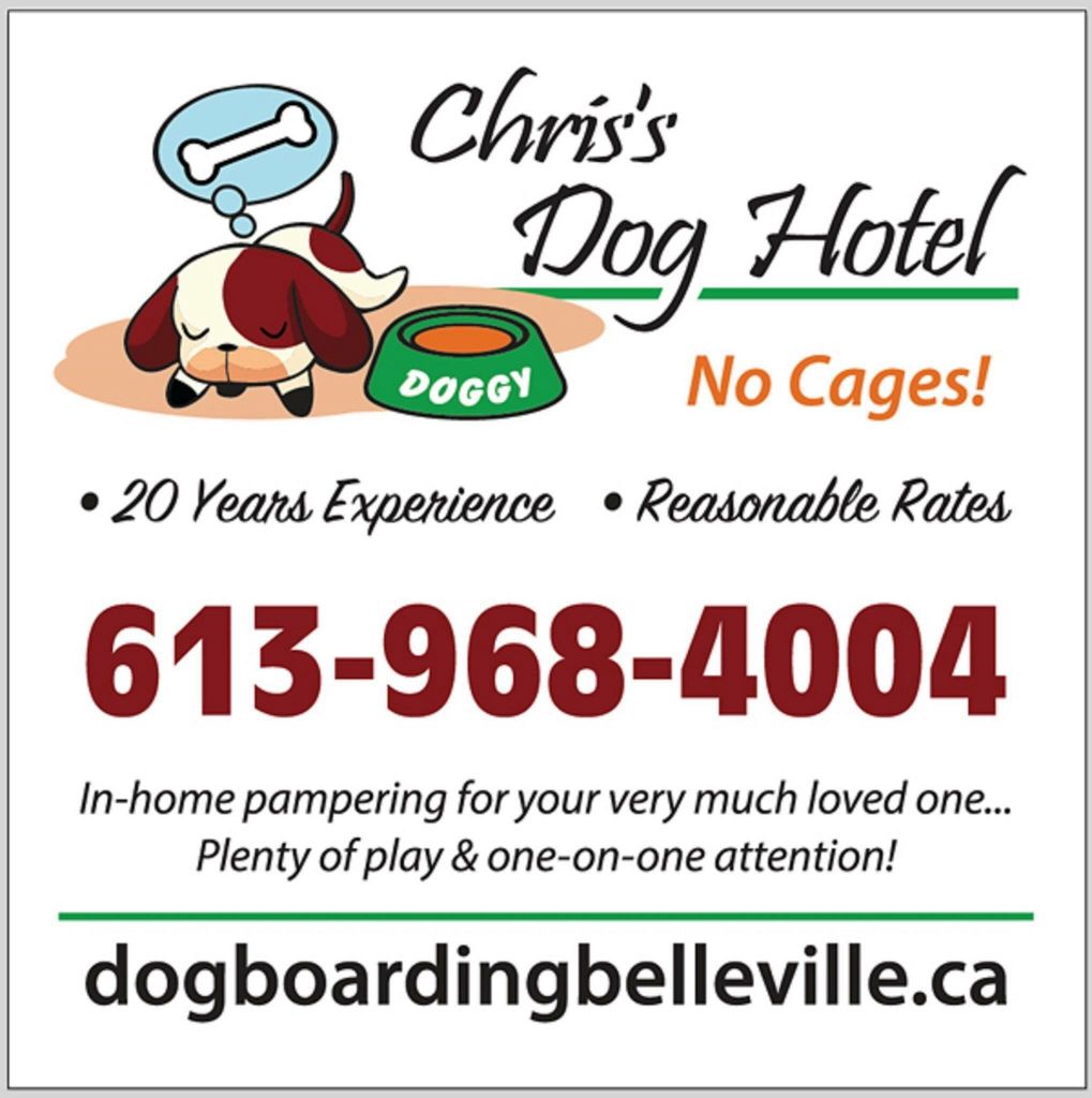 Chris&s;s Dog Hotel No Cages Luxury Pet Resort - Logo