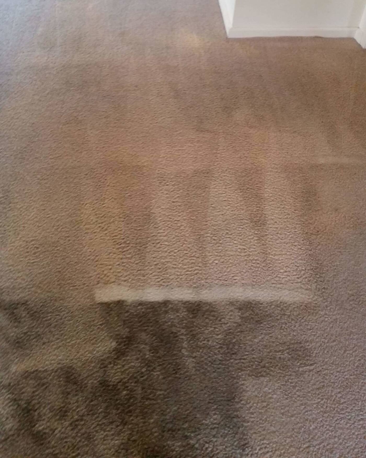 Chris's Upholstery Cleaning - Cover photo