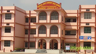 Christu Jyoti Convent High School - Logo