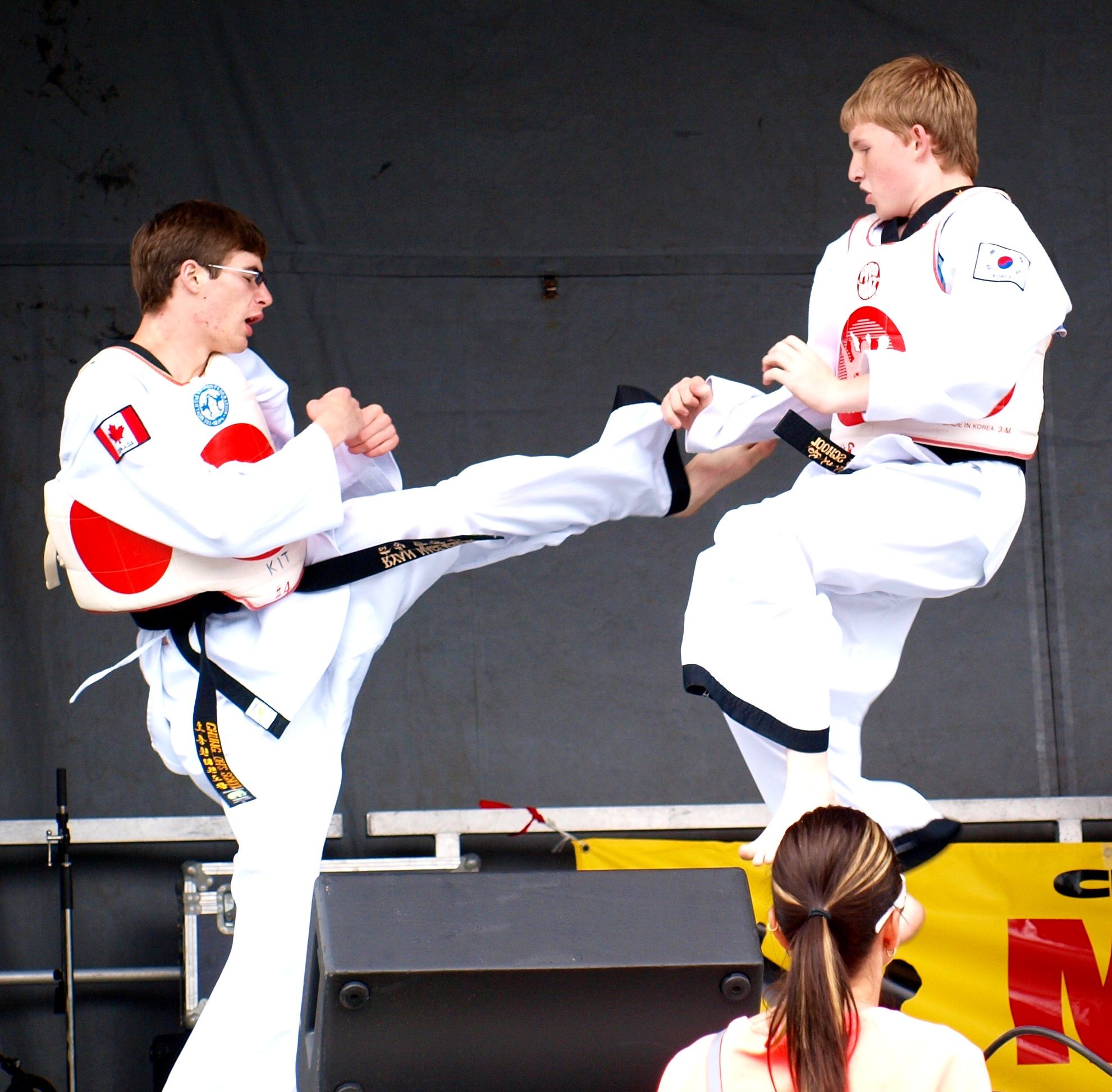 Chung Oh&s;s School of Tae Kwon Do Cambridge - Logo