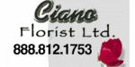 Ciano Florist - Logo