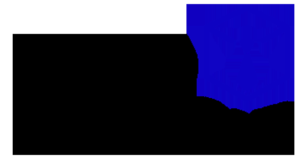 Cinco Concept Corp - Logo