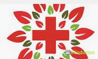 Civil Hospital Bhoranj - Logo