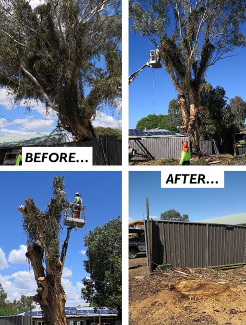 CJW Tree Services - Cover photo