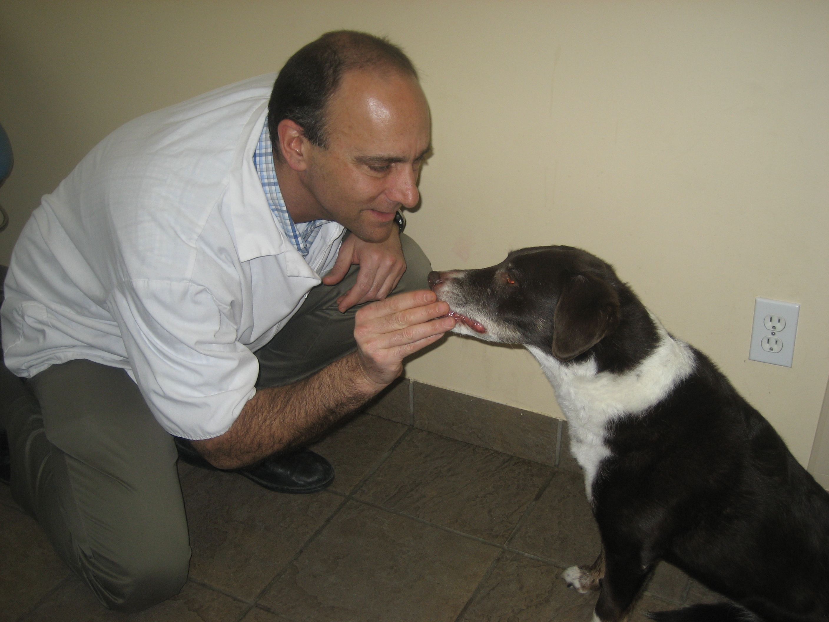 Clarkson Village Animal Hospital - Cover photo