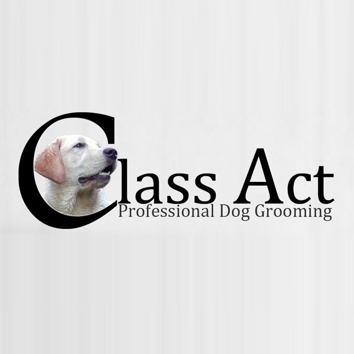 Class Act Professional Dog Grooming - Logo
