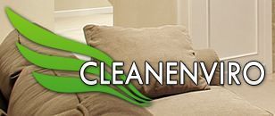 Cleanenviro - Logo
