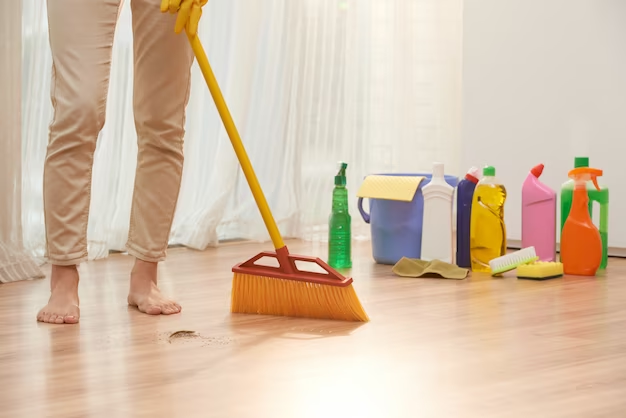 Cleaning Pirates - Cover photo
