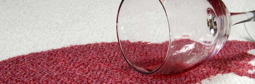 Clean My Carpet - Logo