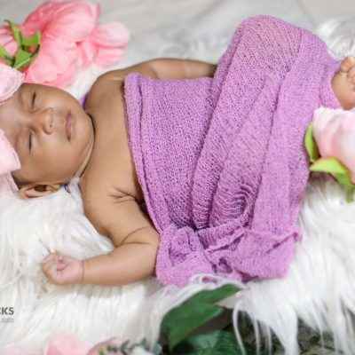 Clear Clicks Studio - Cover photo