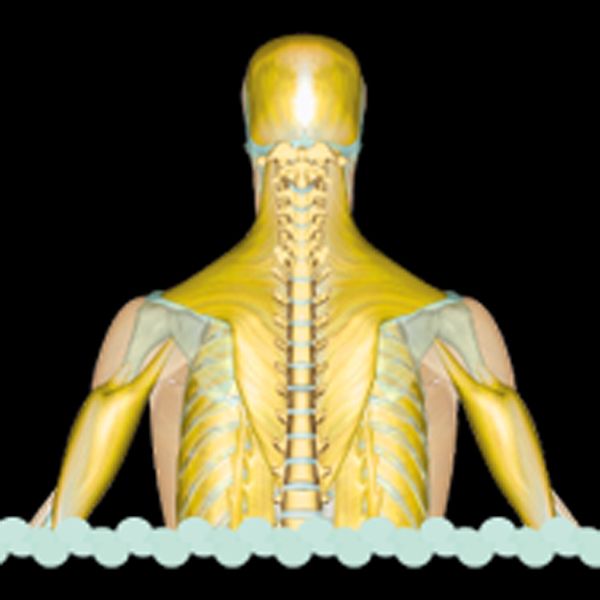 Clinique Sante Corps et Pieds - Logo