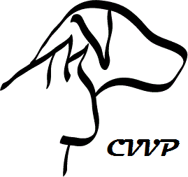 Clinique vétérinaire Villeray-Papineau - Logo