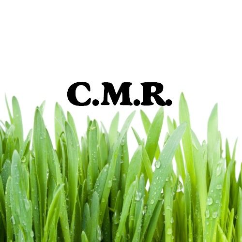 C.M.R - Logo