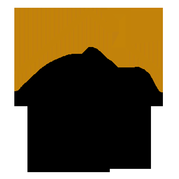 CN Roofing Inc - Logo