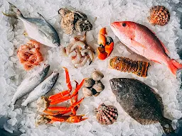 Coastal Palace - Cover photo