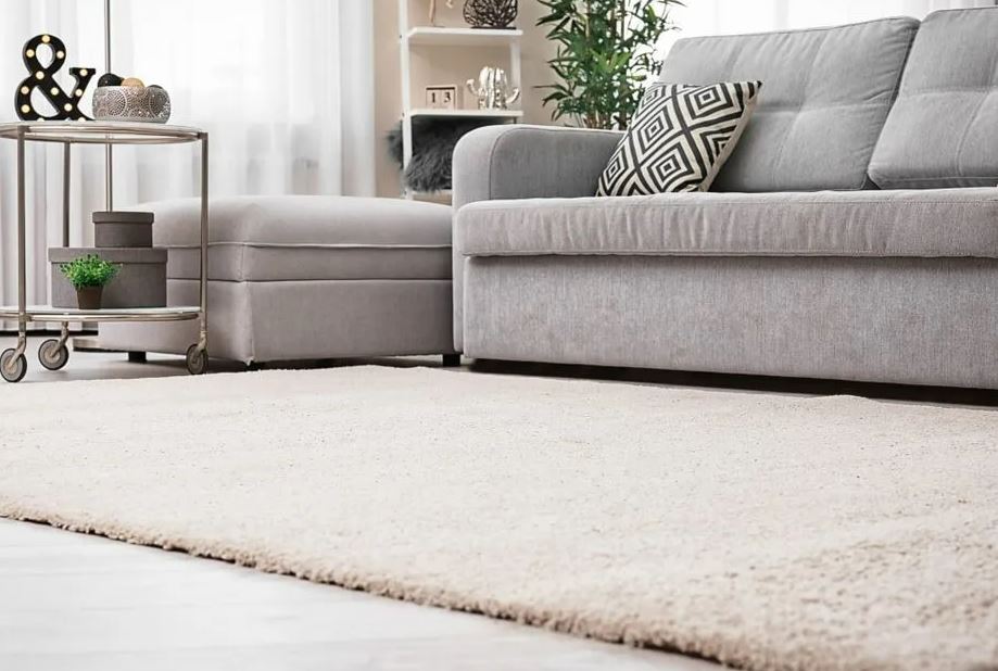 Coastal Carpet Cleaning - Logo